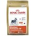 Royal Canin MINI Canine Health Nutrition Miniature Schnauzer 25