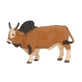 Zebu (コブウシ)