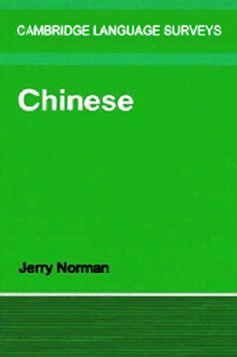 Chinese (Cambridge Language Surveys)