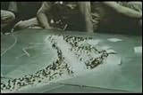 1943 Battle of Tarawa WWII Pacific Theatre Documentary DVD: Marines at Tarawa by Louis Hayward World War II Military Battle History