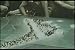 Search : 1943 Battle of Tarawa WWII Pacific Theatre Documentary DVD: Marines at Tarawa by Louis Hayward World War II Military Battle History