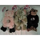 ZOO NUT PLUSH DOG TOY ASSORTED