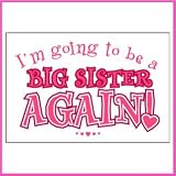 Im going to be a Big Sister AGAIN Iron-On Decal