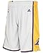Los Angeles Lakers NBA adidas Youth Mesh Swingman Home Alternate White/Gold Shorts
