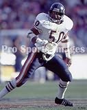 Mike Singletary Chicago Bears 8x10 Photo