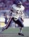 Mike Singletary Chicago Bears 8x10 Photo