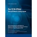 Der ECM-Effekt: Rohstoff Wissen richtig nutzen