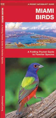 Miami Birds: A Folding Pocket Guide to Familiar Species (Pocket Naturalist Guide Series)