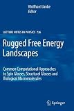 Rugged Free Energy Landscapes: Common Computational Approaches to Spin Glasses, Structural Glasses and Biological Macromolecules (Lecture Notes in Physics)