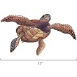 22" Sea Turtle II Tropical Fish Wall Stickers