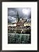 Saint Colman's Church, Cobh, County Cork, Ireland Framed Photographic Poster Print by David Barnes, 17x21