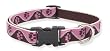 Lupine 3/4" Tickled Pink 9"-13" Adjustable Dog Collar