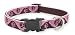 Lupine 3/4" Tickled Pink 9"-13" Adjustable Dog Collar
