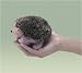 Folkmanis Mini Hedgehog Finger Puppet