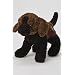 KooKeys Brown Dog