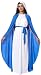 Adult Mary Biblical Costume (Medium 8-10)
