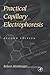 Practical Capillary Electrophoresis