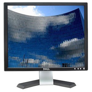 19 Dell E198FPf LCD Monitor (Black)