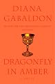 Dragonfly in Amber