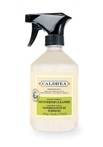 Caldrea Counter-top Cleanser, Ginger Pomelo, 16-Ounce Bottles (Pack of 6) by Ginger Oil