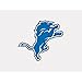 Wincraft NFL Detroit Lions 63045011 Perfect Cut Color Decal, 4