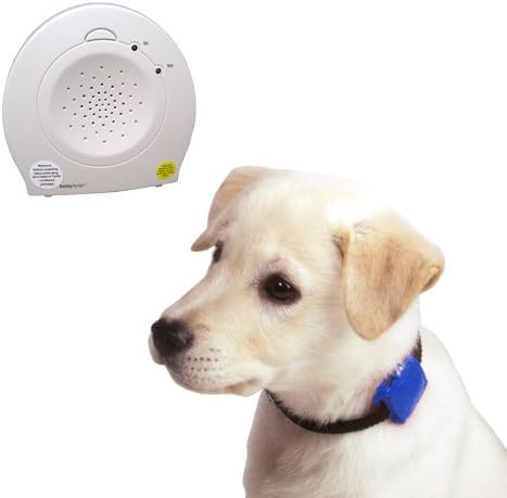Safety Turtle Pet Immersion Pool/Water Alarm Kit - Blue