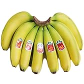 送料無料！（一部地域除く）　フィリピン産高原栽培バナナ　大１房　（約２.３ｋｇ）
