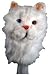 New! Persian Cat Headcover