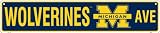 Michigan Wolverines Ave Street Sign