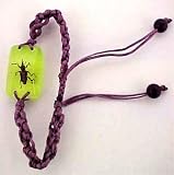 Brown Boll Weevil Glowing Bracelet Beetle Real Insect