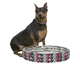 Dog Christmas Necklace / Cat Christmas Necklace - Stunning Rhinestone Pet Necklace is Perfect for the Holidays - Medium