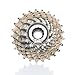 Campagnolo 2009 Record 10-Speed Steel/Titanium Road Bicycle Cassette
