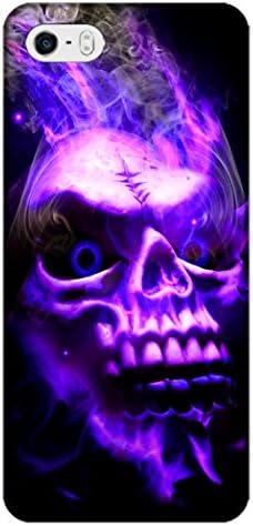 Bin Ran Fearsome Skull Cell Phone Case For Iphone 5
