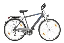 Texo Herren Trekking-Fahrrad 28 Zoll ,Alu, gefedert, mit 24-Gang Shimano Acera Kettenschaltung