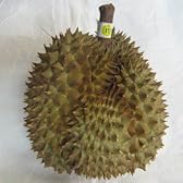 タイ産　ドリアン　1玉