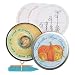 Cinderella's Magic Pumpkin, A Child's Fairytale Garden Kit to Grow and Explore