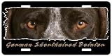 German Shorthaired Pointer 