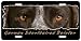  - German Shorthaired Pointer 