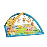 Tiny Love Gymini Animal Concert Activity Gym