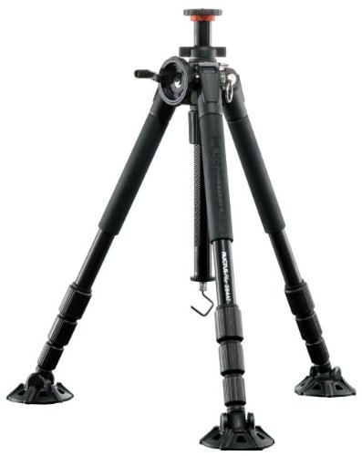 review Vanguard 339175