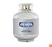 Worthington 303955 20-Pound Steel Propane Cylinder With Type 1 With Overflow Prevention Device Valve
