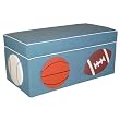 Upholstered Sport Storage Bench