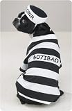 Pet Supplies : X-SMALL - Prison Pooch Halloween Costume