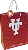 Texas Longhorns NCAA Large Gift Bag