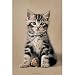 (24x36) Racheal Hale (Matty) Art Poster Print
