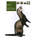 Le furet