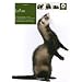 Le furet
