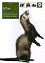 Le furet