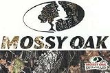 Camoclad Mossy Oak 7x15 Logo Decal