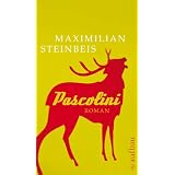Pascolini: Romanvon "Maximilian Steinbeis"